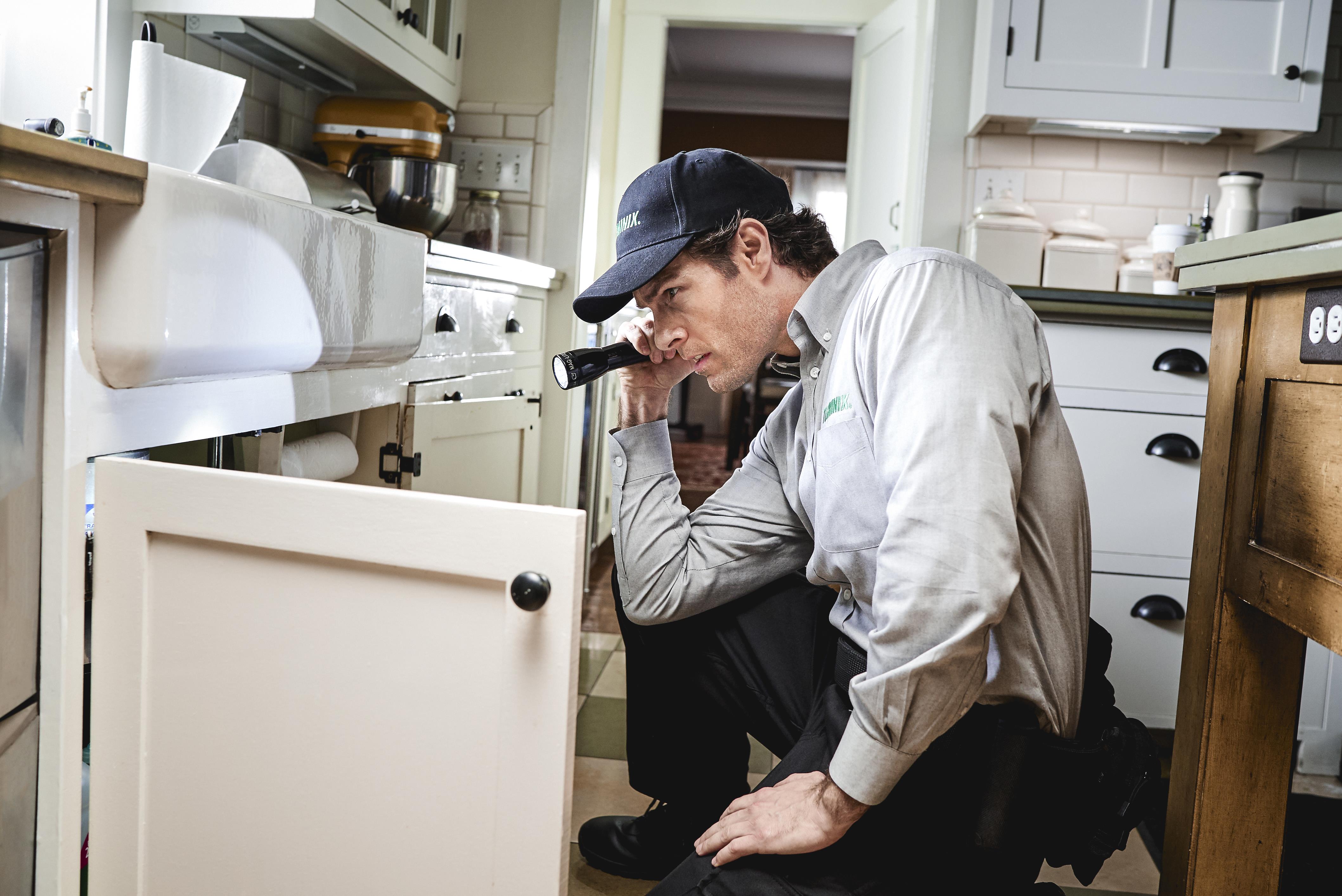 The Secret Places Pests Are Hiding in Your Home