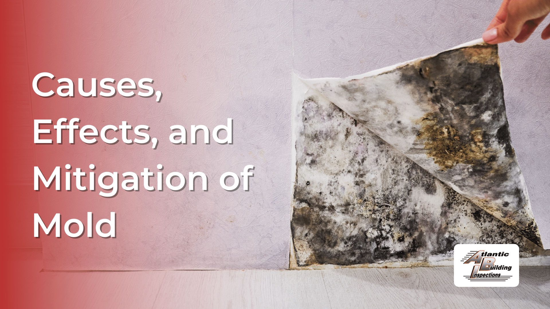 Causes, Effects, and Mitigation of Mold